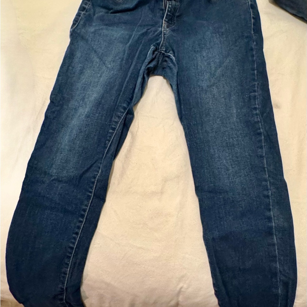 Lane Bryant Flex Magic Waistband High
Rise Jegging